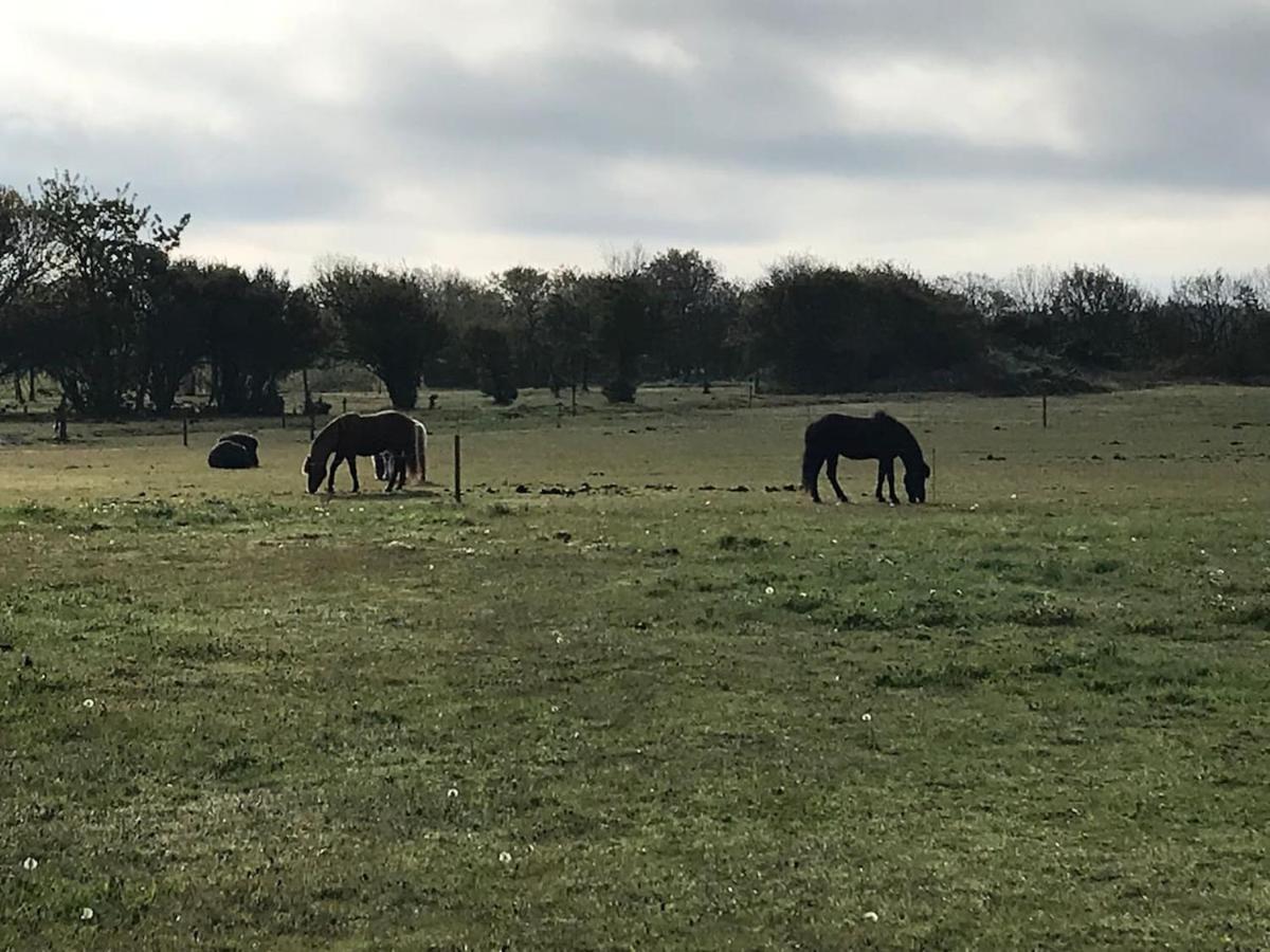 Bb-Vadehavet Ferielejlighed Til 6 Personer Ved Nationalpark Vadehavet Ribe Exterior photo